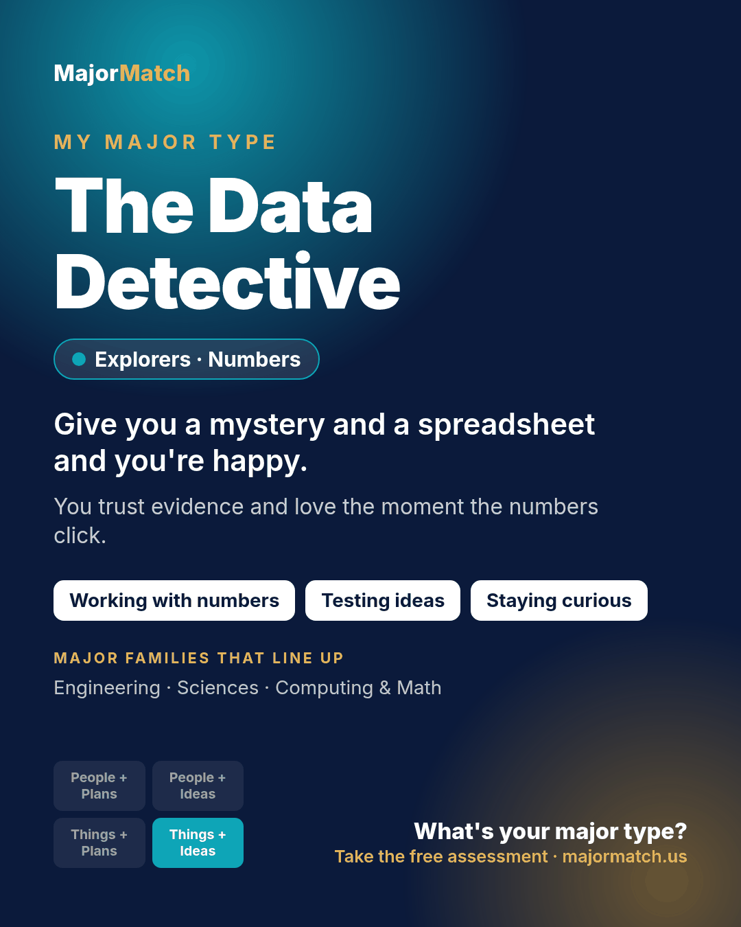 The Data Detective major type card